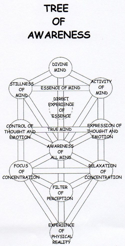 TREEOFAWARENESSTYPED